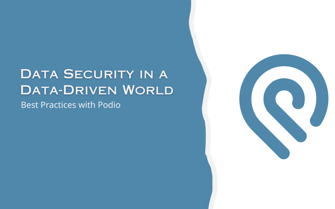 Data Security in a Data-Driven World