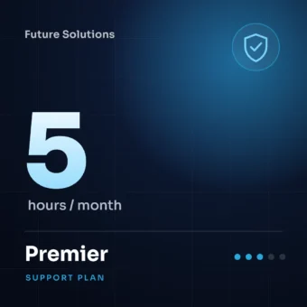 Premier Support Plan: 5 hours support per month